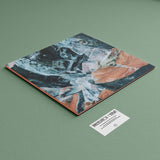 12" Double Disc Gatefold Vinyl Mockup #13