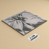 12" Double Disc Gatefold Vinyl Mockup #13