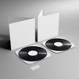 12" Double Disc Gatefold Vinyl Mockup #12