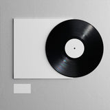 12" Single Disc Vinyl Bundle (13 Mockups)