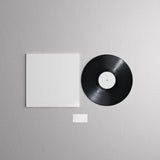 12" Single Disc Vinyl Mockup #5