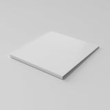 CD (Gatefold/Wallet Case) Mockup #14