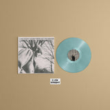 12" Single Disc Vinyl Mockup #5